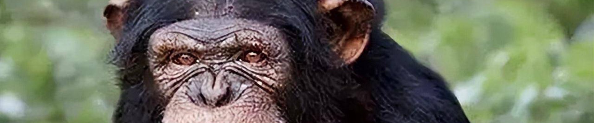 金年会 (中国)官方网站-Jin Nian Hui Sports